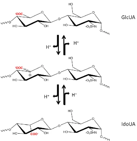 Figure 10: Schematic of C5-epimerase activity. 