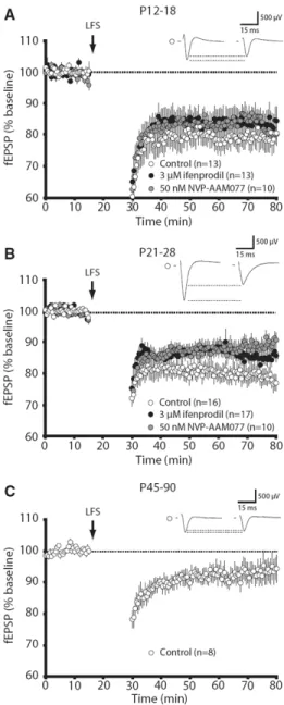 Figure  2:    NVP-AAM077  and  ifenprodil  have  developmentally  specific  effects  on  the  expression  of  LFS-LTD  in  the  visual  cortex