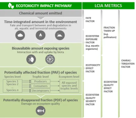 FIGURE 1: Conceptual representation of ecotoxicity impact pathway in life cycle impact assessment (LCIA)