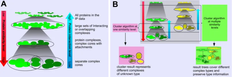 Fig 1. A: Proteins interact at different levels, from the low level of stable complex cores to the high level of temporarily interacting complexes