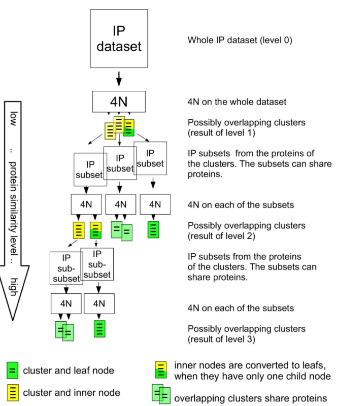 Fig 2. General overview of the HC4N strategy. The IP/MS dataset is analyzed with 4N to create the clusters of level 1