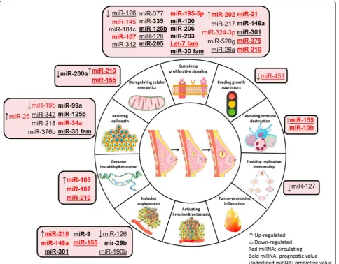 Fig. 1 miRNAs as key regulators of BC hallmarks. Expression of miRNAs (↑up-regulated and ↓ down-regulated) grouped according to their function in the hallmarks of breast cancer: circulating miRNAs (red) and non-circulating miRNAs with prognostic (bold) and