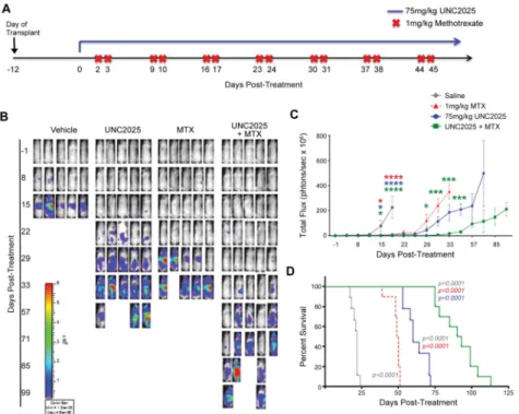 Figure 6. UNC2025 provides additional therapeutic benefit in combination with methotrexate in  vivo