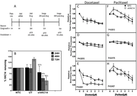 Figure 3. VAC14 Knockdown increases neuronal cell sensitivity to docetaxel but decreases  sensitivity to paclitaxel