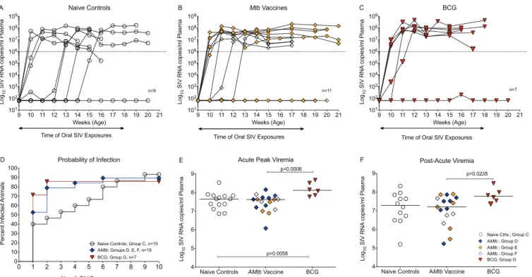 FIG 7 Challenge outcome using a repeated low-dose oral SIV exposure model. (A) Plasma viremia of naive controls (group C2) after weekly low-dose oral SIV mac251 exposures, starting at 9 weeks of age