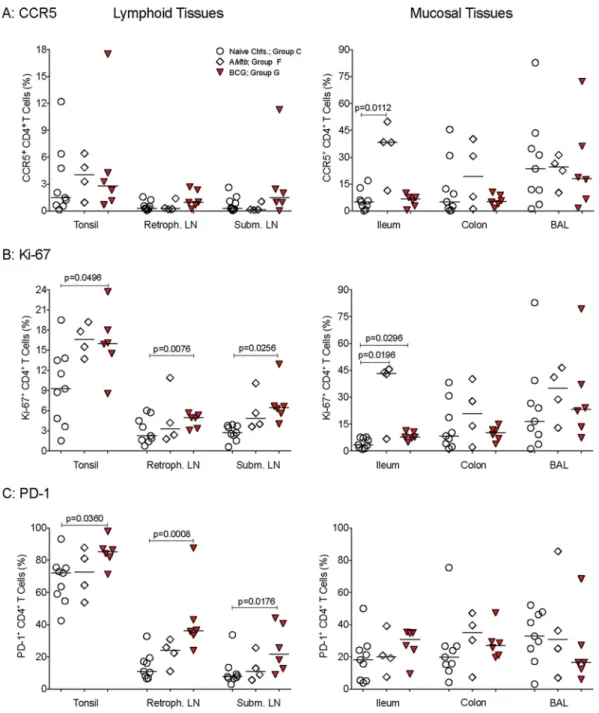 FIG 9 CD4 ⫹ T cell activation in SIV-infected infant macaques. (A to C) Frequencies of CCR5-, Ki-67-, and PD-1-positive CD4 ⫹ T cells in lymphoid and mucosal tissues from naive controls and AMtb- and BCG-vaccinated animals at the time of euthanasia.