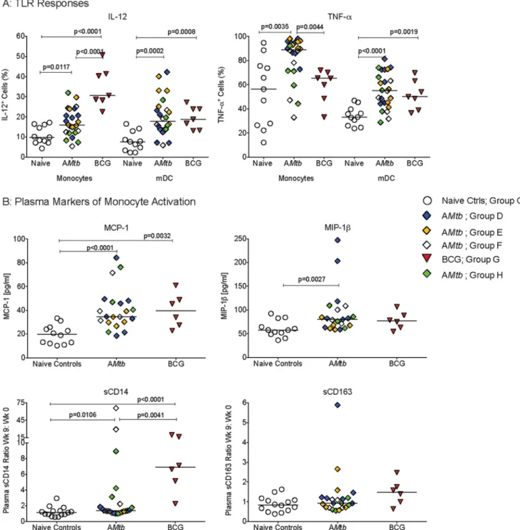 FIG 4 Vaccine-induced activation of myeloid cells at the time of SIV challenge. (A) Frequencies of IL-12- and TNF- ␣-producing monocytes/macrophages and mDC in peripheral blood from naive controls, AMtb-vaccinated, and BCG-vaccinated infant macaques at wee