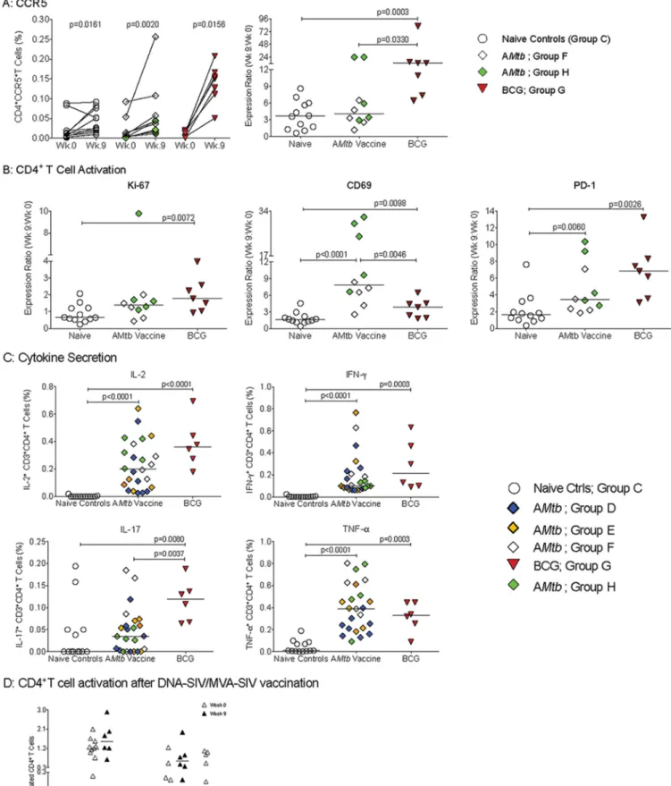 FIG 6 PBMC CD4 ⫹ T cell activation at week 9. (A) Frequencies of CCR5 ⫹ CD4 ⫹ T cells for individual animals in each group at week 0 (time of immunization) and week 9 (start of SIV challenge); P values were determined by Wilcoxon signed-rank test