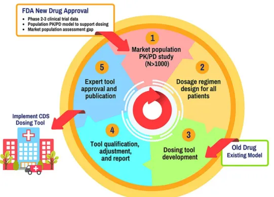 Figure 3 Drug dosing tool development process. Pharmacokinetic (PK) / pharmacodynamic (PD) studies in the market population can be performed, if needed