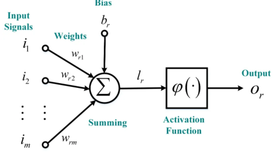 Figure 2.2: The model of a neuron.