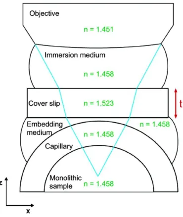 Figure 2-2. Microscope scheme used to image monolithic chromatographic bed inside a 