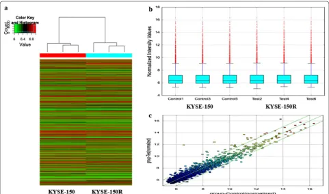 Fig. 1 CircRNA microarray expression data between the KYSE-150 and KYSE-150R cells. a Hierarchical clustering shows a distinguishable circRNA expression profiling among KYSE-150 and KYSE-150R cell