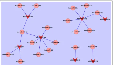 Fig. 4 KEGG pathway analysis. a Pathways correspond to the upregulated circRNAs. b Pathways correspond to the downregulated circRNAs