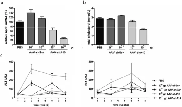 Figure  4.  ApoB  mRNA  and  cholesterol  decrease  eight  weeks  post-transduction  with  AAV- AAV-shA10