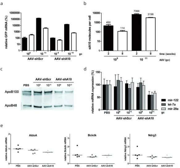 Figure  S4.  AAV-shA10  persistence,  robustness  of  ApoB  knockdown,  and  off-target  effects  at eight weeks post-transduction