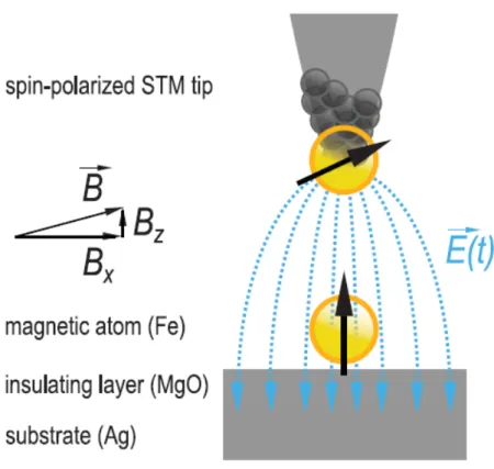 Figure 2.3: Schematic overview of the setup used by Baumann et al. [3] to per- per-form the EPR measurement on a single Fe atom using STM