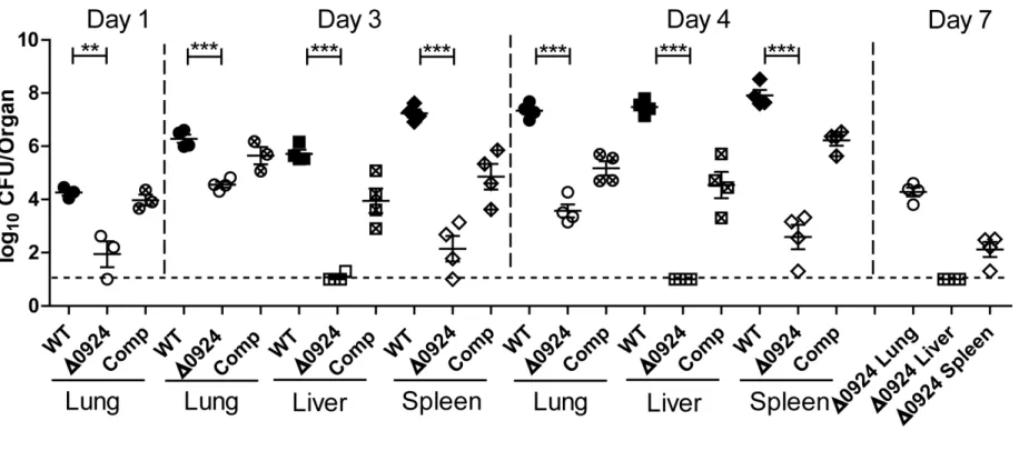 Figure 2.4:  Effect of FTT_0924 on Schu S4 Growth and Dissemination in a Mouse Model of Infection