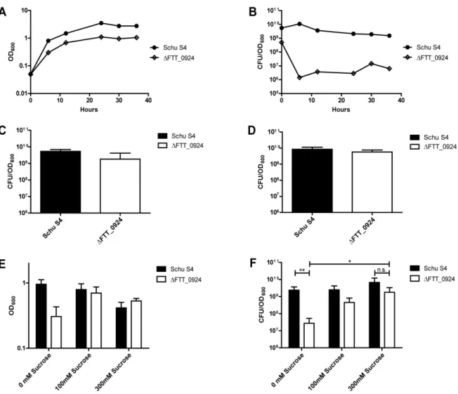 Figure 2.5: Bacterial Viability of ΔFTT_0924 During in vitro Growth. Schu S4 and  ΔFTT_0924 were grown in CDM and A) OD 600  and B) viable bacteria per OD 600  were  measured