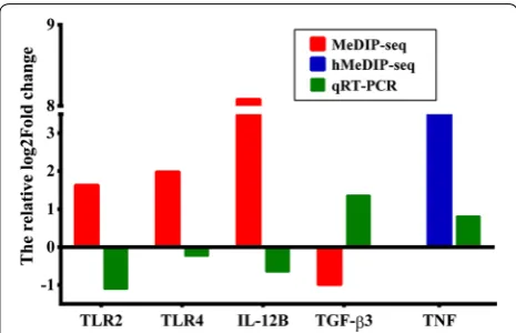 Fig. 7 Comparative sketch of the relative fold changes between (h)MeDIP‑seq and qRT‑PCR