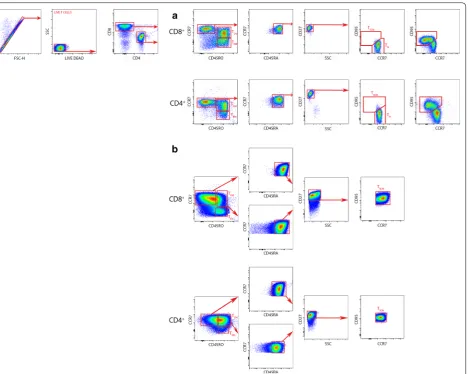 Fig. 1 Gating strategy for the identification of human TTas CCR7expression. In the gated CCR7Similarly, in the gated CCR710 days culture cells