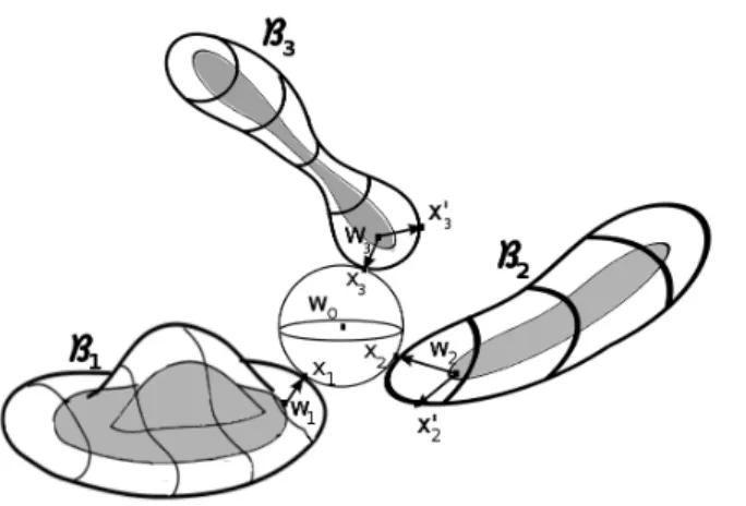 Figure 3.2. Example demonstrating the dual roles of boundary points in R 3 . Here, w 0 is the center of a sphere in the complement that is tri-tangent at the surface