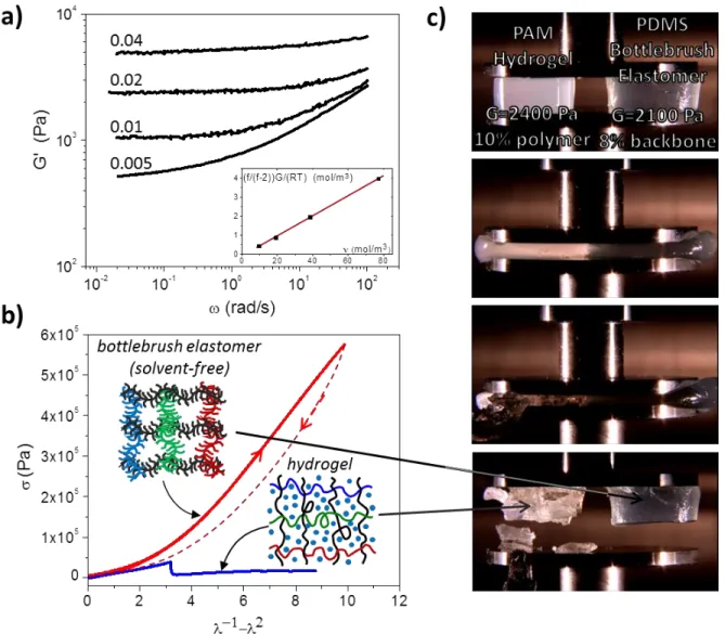 Figure  1.12: Super-soft  and super-extendable  elastomers. (a) Poly(dimethylsiloxane)  (PDMS)  bottlebrush  elastomer  displaying  moduli  on the order of 100 to 1000 times  softer than  linear  PDMS  entanglement  modulus  as  a  function  of  crosslinke