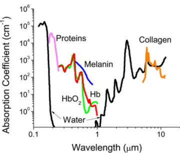 Figure 1.2:  Absorbance of various tissue and blood components from 200 nm to 10 µm. 