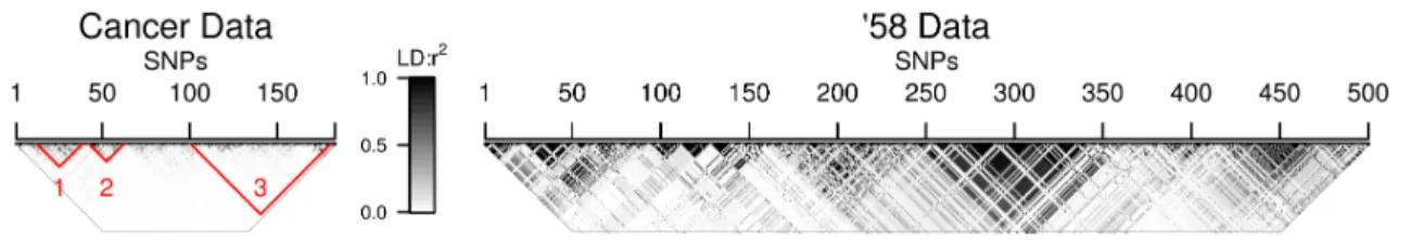Figure 2.1: LD structure of the two genotype datasets used in the simulations. Shading indicates pairwise LD between SNPs, ranging from white (r 2 = 0) to black (r 2 = 1).