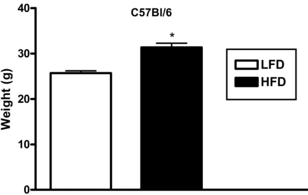 Figure 3.  TNF-α expression (A) and IL-10 expression (B) in hippocampus from C57BL/6  mice fed 8 weeks of either LFD or HFD