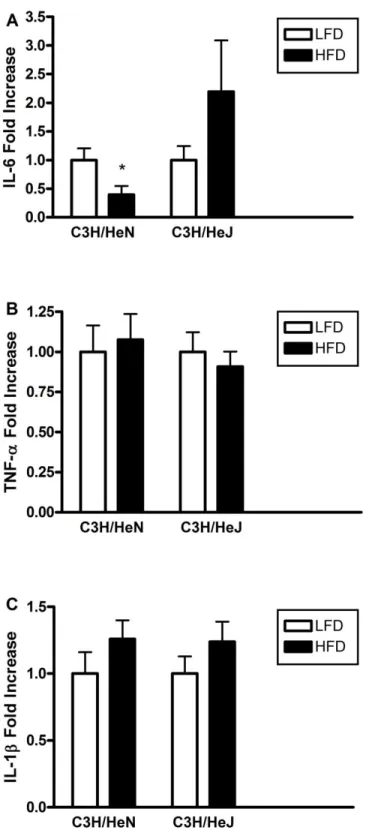 Figure 6.  IL-6 expression (A), TNF-α expression (B), and IL-1β expression (C) in  hippocampus of C3H mice fed 8 weeks of either LFD or HFD