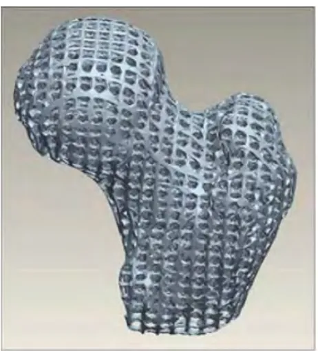 Figure 2.3: Example of a scaffold model (Su et al, 2012) 