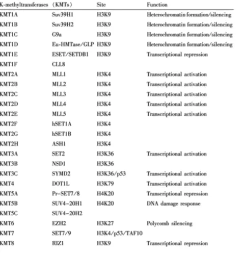 Table	  2	  Histone	  lysine	  methyltransferases	  	  