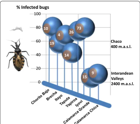 Fig. 6 Geographical origin of triatomine bugs and infection rate determined with real-time PCR (% of total)
