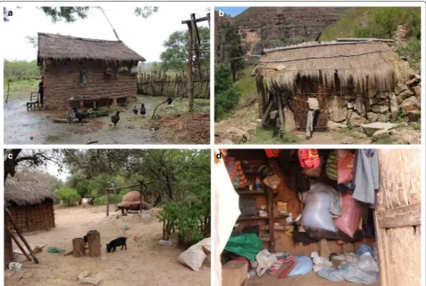 Fig. 2 Images of rural dwellings in the study sites. a Typical Guaraní house in the Chaco region