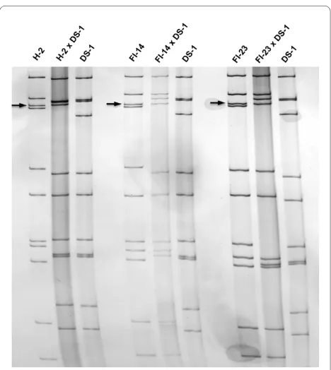 Table 1 summarizes group A human and animal rotavirusstrains that were employed in this study