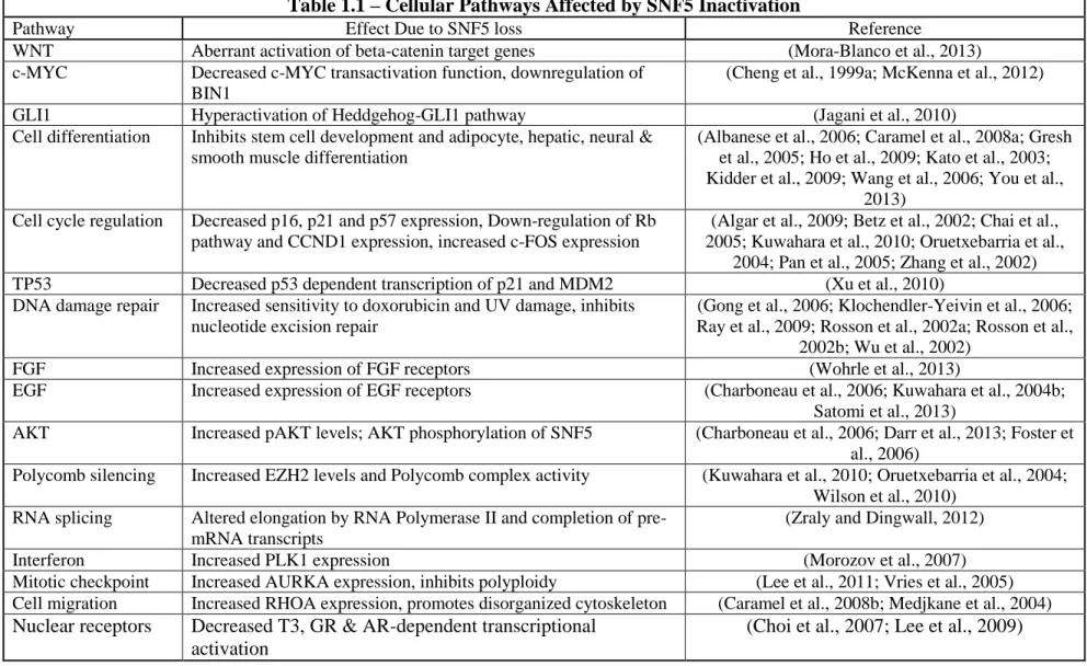 Table 1.1 – Cellular Pathways Affected by SNF5 Inactivation 
