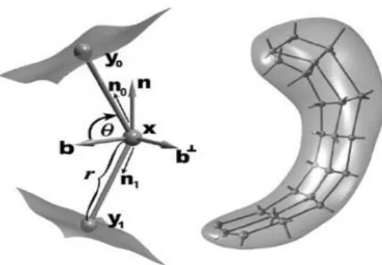Figure 1.1: Medial atom with a cross section of the boundary surface it implies (left)