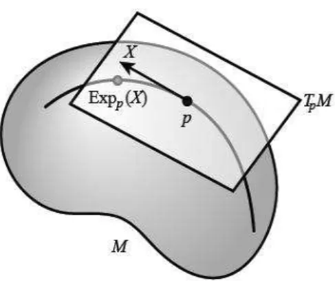 Figure 1.2: The Riemannian exponential map at p ∈ M. X ∈ T p M