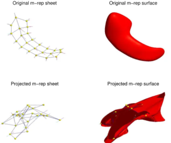 Figure 2.3: Top left and right: Original m-rep sheet of a hippocampus and its surface rendering respectively