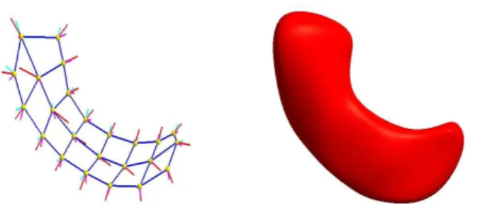 Figure 3.3: Left: M-rep sheet of a hippocampus with the 24 medial atoms. Right: Surface rendering of the m-rep model.