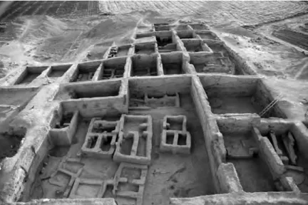 Fig. 5. View of the extensive excavations at Tell Sabi Abyad I, with house remains radiocar- radiocar-bon-dated to 6365–6335 BC, the final stage of the Early Pottery Neolithic period