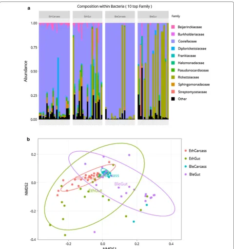 Fig. 2 Effect of the sterilization treatment on the internal microbiome of ticks. a Bar plots of the relative abundance of the 10 most abundant bacterial families in each sample regrouped by sample categories; EthCarcass corresponds to ethanol-treated carc