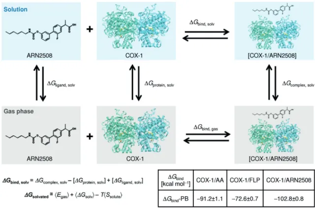 Figure 6. Schematic representation of a thermodynamic cycle for calculating the binding free energy (DG Bind ) for a protein–ligand complex (shown for the COX-1/ARN2508 system)