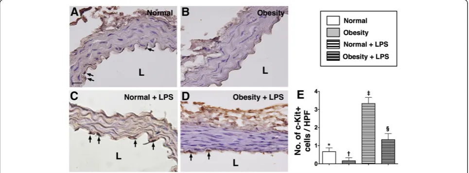 Figure 1 Immunohistochemical (IHC) staining (400x) for the cluster formation (Statistical analysis by one-way ANOVA