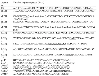 Table 1 Sequence of the variable region for the ssDNA LDH aptamers generated with common moieties noted
