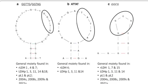 Fig. 2 Moieties found on secondary structures of aptamers generated with examples of moiety location encircled (a *GGTTG/GGTAG; b ATTAT; c GGCG)