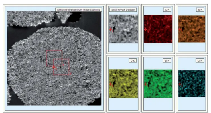 Fig. 4 STEM-HAADF image (left) and STEM-EDS chemical maps (right) of a b 2 -AR-conjugated silica gel cross-section.
