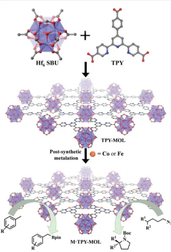 Fig. 2 (a) PXRD patterns of TPY-MOL, CoCl 2 $TPY-MOL, FeBr 2 $TPY- $TPY-MOL, Co(THF) 2 $TPY-MOL, and Fe(THF) 2 $TPY-MOL in comparison to simulated PXRD pattern for TPY-MOL; (b) TEM image of TPY-MOL; (c) HRTEM image and fast Fourier transform (FFT) pattern 
