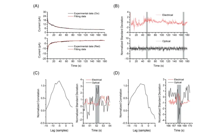 Fig. 6 Cross-correlation analysis for single molecule detection. (A) Fitting the electrochemical signal from 1 nM FMN in the E-ZMW array under redox cycling condition to the model (red lines, see ESI † for details)
