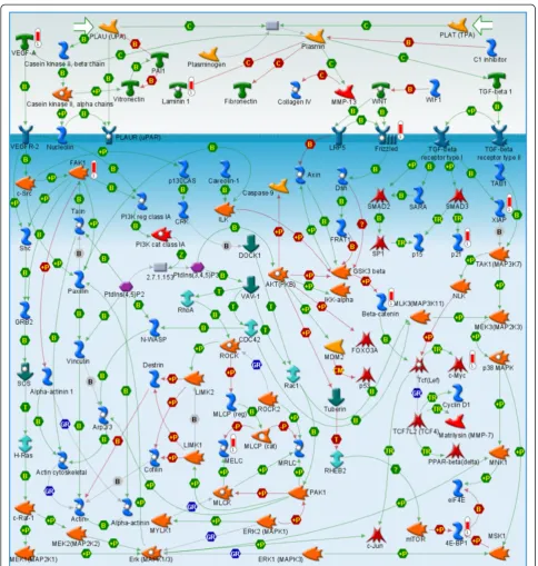 Figure 5 WNT signalling pathway map enriched with genes up-regulated in tumorgraft-forming tumors